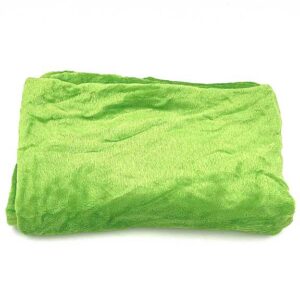 پتو بالشتی پنجه پاندای سبز